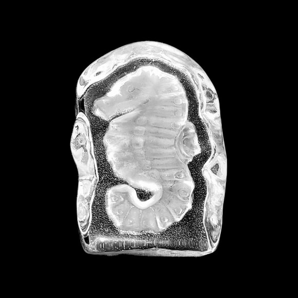 VTG Sea Horse Paper Weight Frosted Glass Sculpture Aquamarine Sealife Art Glass - Picture 2 of 6